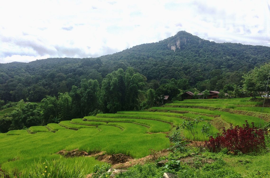 DOI INTHANON