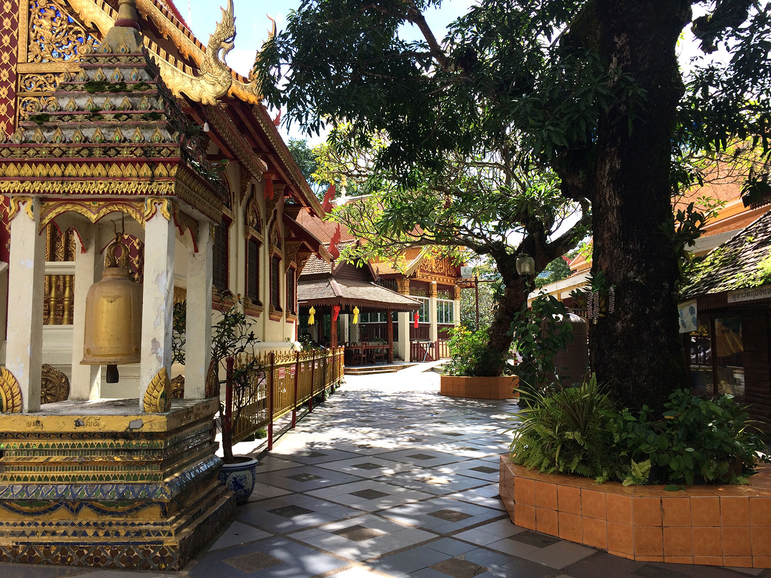 DOI SUTHEP