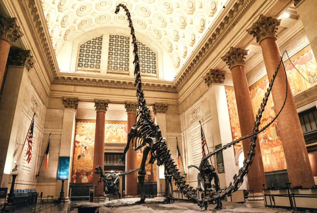 new york museum