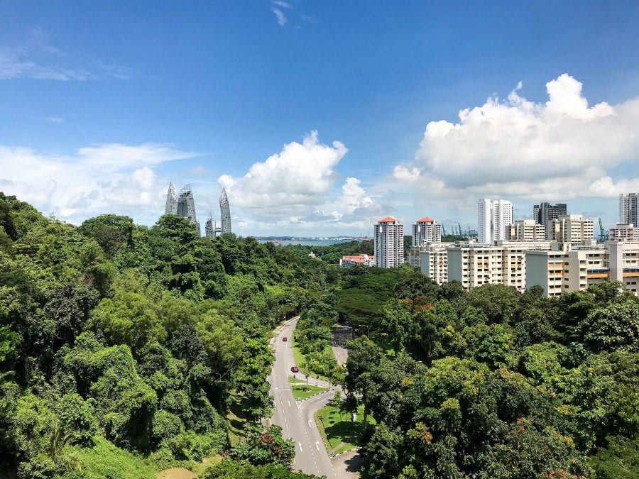 jungle singapour