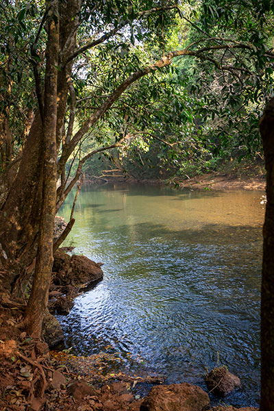 dudhsagar