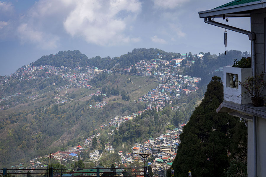 darjeeling