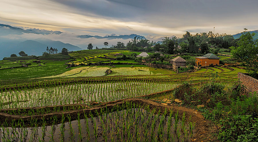 voyage vietnam