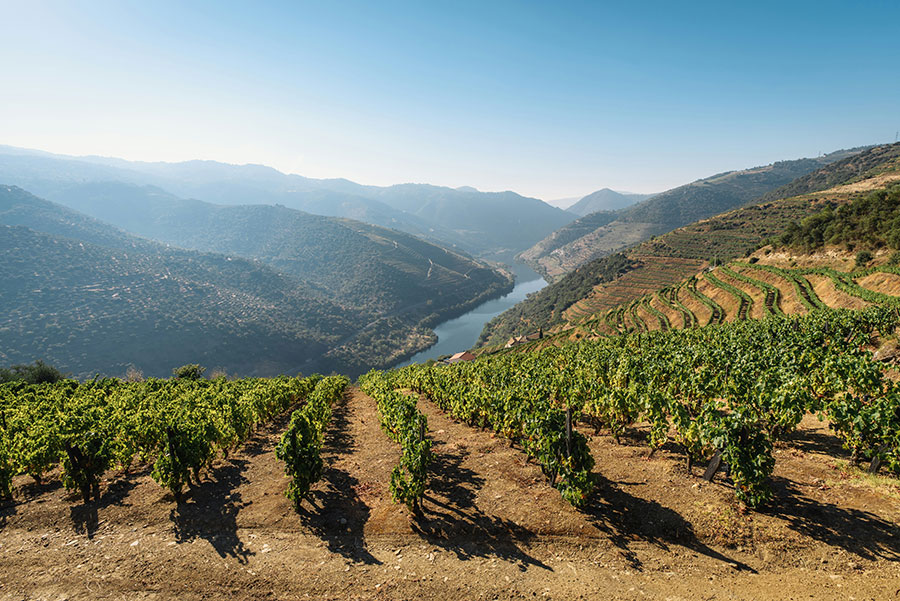 croisiere sur le douro