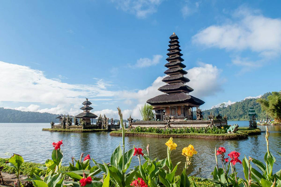 bali conseils