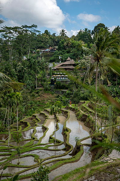 bali itineraire 3 semaines