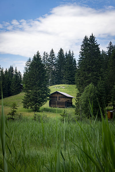 randonnee facile gstaad