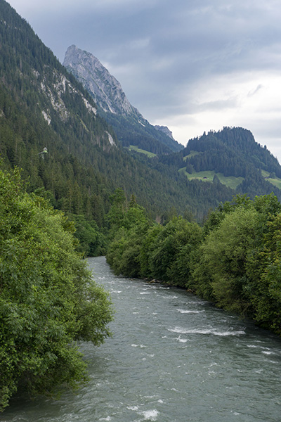 saanen