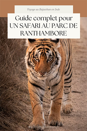 ranthambore guide complet